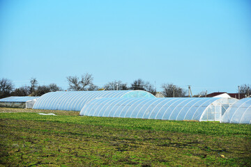 Set of greenhouses in Ukraine, early cultivation of crops photo © Vita