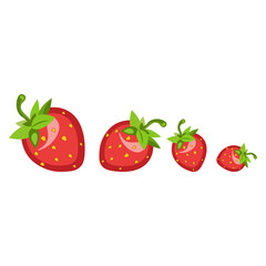 Strawberry icon on white background, flat design. Vector illustration