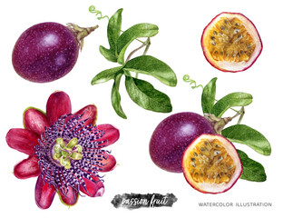 Passion fruit with leaves and flower watercolor illustration isolated on white background