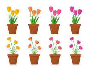 flat flower in pots vector illustration png