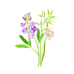 Fototapeta na wymiar Freshly Cut Wildflowers and Meadow Plants on Stem as Floral Vector Composition