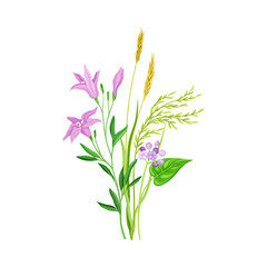 Naklejka na ściany i meble Freshly Cut Wildflowers and Meadow Plants on Stem as Floral Vector Composition