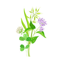 Fototapeta na wymiar Wildflowers Composition with Meadow Plants and Flora Closeup View Vector Illustration