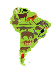 Fototapeta premium Continent map Southern America vector illustration with wild animals. Travel destination for tourist. Wildlife exotic attraction jaguar, chinchilla, cayman, capybara, lama, anteater, macaw parrot.