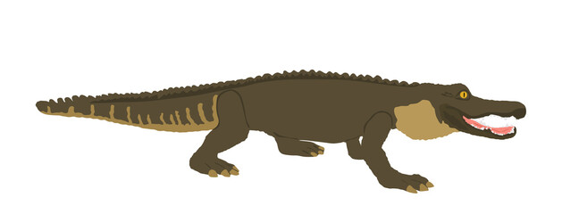 Crocodile vector illustration isolated on white background. Alligator symbol. Cayman illustration, powerful reptile animal. Under water predator carnivore.