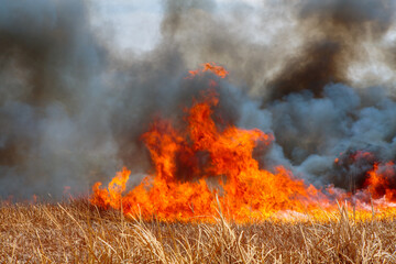 Wild fire with orange flames and black smoke in a dry grassland in northwest Argentina