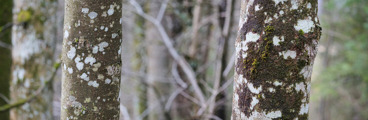Wanderung um Brannenburg / Sankt Magarethen