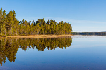 Landscape with lake and forests in early morning light in southern Lapland, Sweden