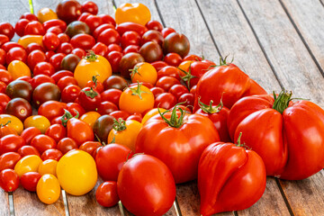 Tomaten