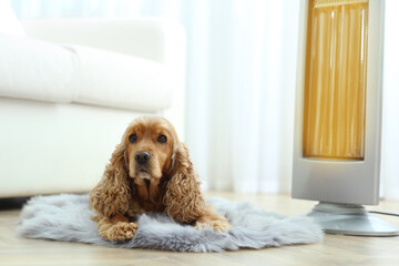 Beautiful cocker spaniel lying on rug near electric heater at home
