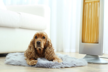 Beautiful cocker spaniel lying on rug near electric heater at home