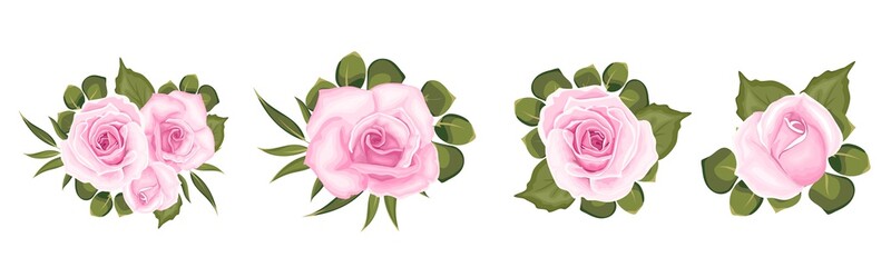 Floral vector set. Lovely pink roses, green leaves and plants. All elements are insulated. Elements for design on a white background.
