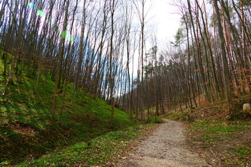 Natur Wanderwege im Wienerwald