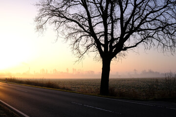 Fototapeta na wymiar Landschaft neben einer Straße am frühen Morgen