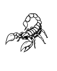 Vector illustration of a scorpion. Scorpion vector. 

Can be used as a sketch for a tattoo. Poster in black and white style.