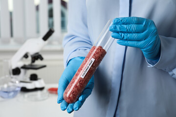 Scientist holding test tube with minced cultured meat in laboratory, closeup - obrazy, fototapety, plakaty
