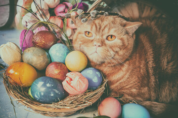 Cute ginger cat lying near basket with colorful easter eggs. Retro effect color correction