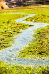 Green landscape. Spring Nature. Park with Green Grass and Trees. Travel in Europe