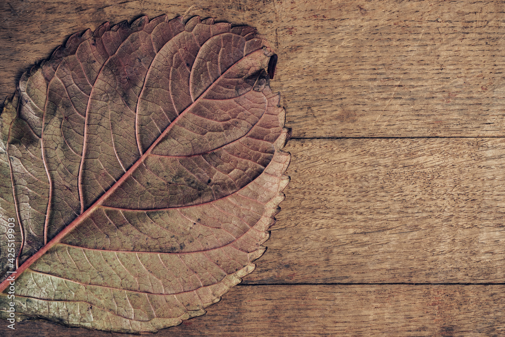 Poster close up beautiful faded old leaf on a brown old wooden table. abstraction autumn style concept. bac
