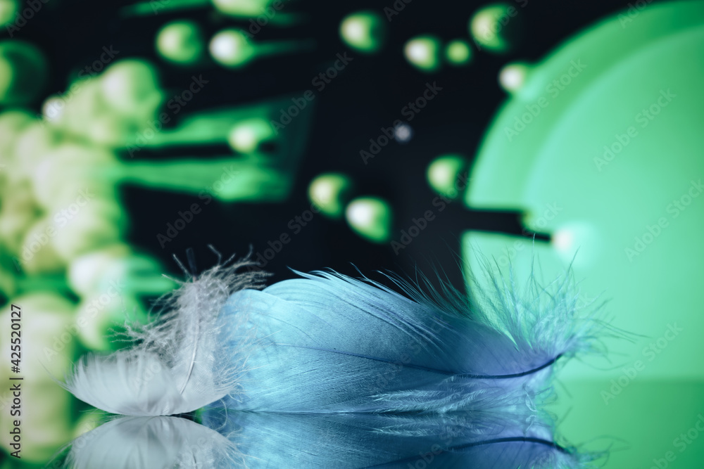 Poster Beautiful blue Bird feather on a bokeh background.  Pattern background for design texture.  Macro view photography.
