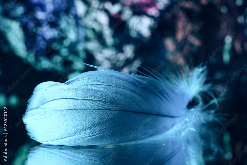 Poster Beautiful blue Bird feather on a bokeh background.  Pattern background for design texture.  Macro view photography.