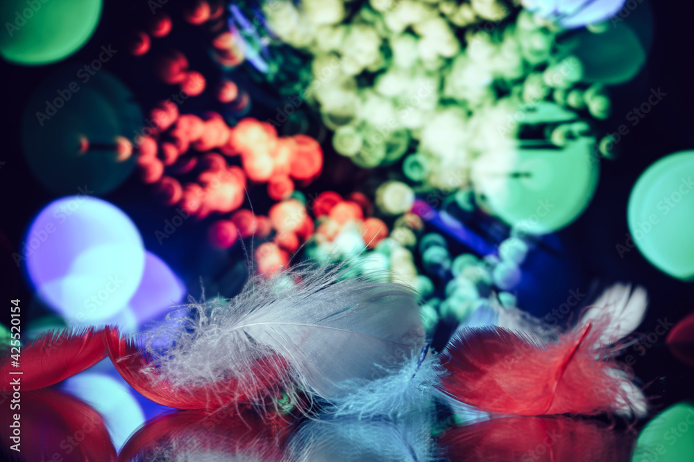 Poster Beautiful Bird feathers on a bokeh background.  Pattern background for design texture.  Macro view photography.