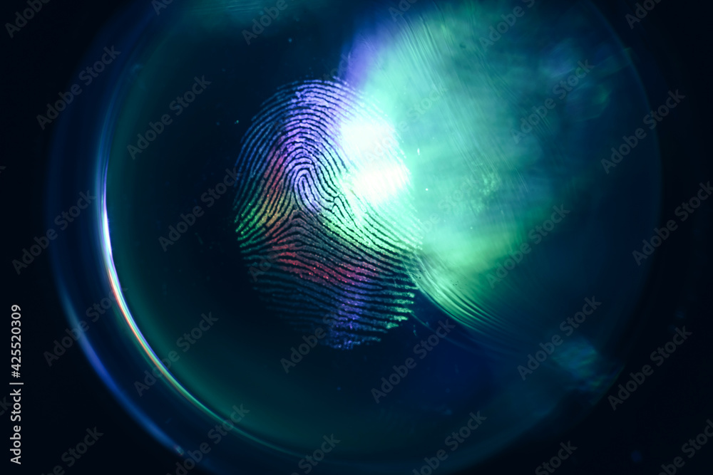 Fototapete close up beautiful abstract colored fingerprint on background texture for design. macro photography 
