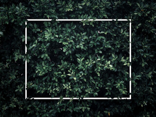 White frame on green leaves wall texture background.