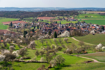 Fototapeta na wymiar Diefenbach (Kraichgau) im Frühling