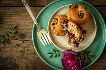 Three homemade cherry and chocolate muffins and ranunculus flowers on ceramic plates on old rustic wooden table. 