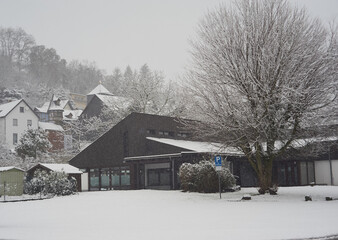 Europa in kalten Wintern im Schnee, Bäume sind mit Inium bedeckt.