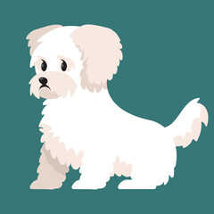 Bichon bolognese giving paw. Cute pet in cartoon style.
