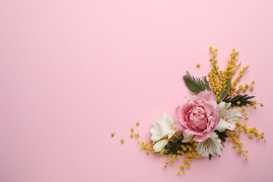 Beautiful floral composition with mimosa flowers on pink background, flat lay. Space for text