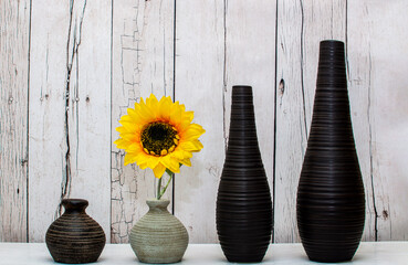 four Elegant four Elegant colorful vases with sunflower against cracked wood wall. contrasting...
