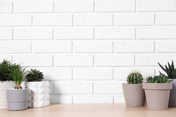 Different house plants in pots on wooden table near white brick wall, space for text