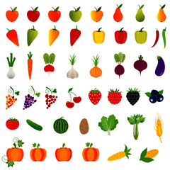 Isolated Fruit and vegetables vectors 