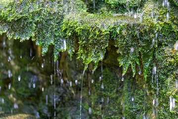 Close-up mos on the rock, the wall of the waterfall simulates looking and feels refreshed and relaxing. The joy of the waterfall