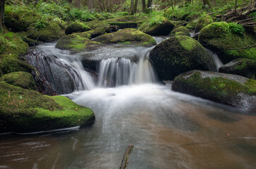 Naturlandschaft