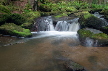 Naturlandschaft