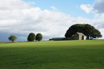 Fototapeta na wymiar english country house , English landscape ,fields ,barn ,sky ,clouds ,green grass ,tree 