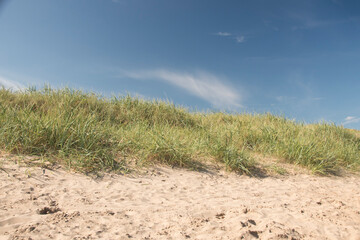 Sand dune, Bridlington South Beach.