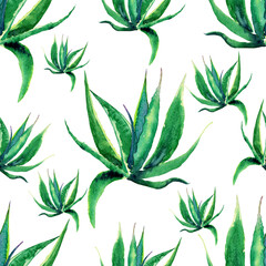 Obraz na płótnie Canvas Seamless pattern of Blue agave on white background. Watercolor hand drawing illustration. Perfect for digital paper or wallpaper. Cactus plant.