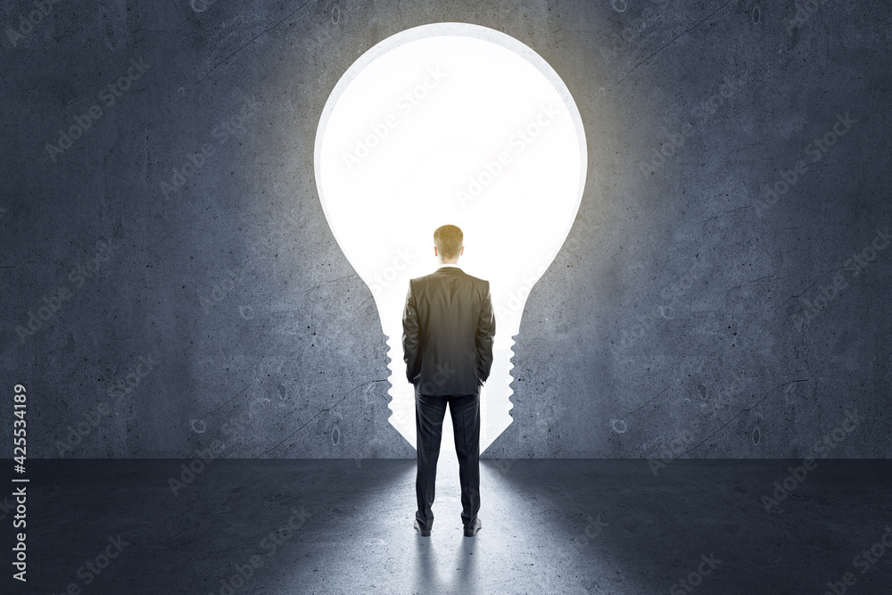 Poster startup and idea concept with back view on businessman in front of light bulb entrance in room