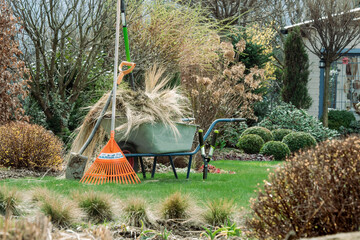 Work in the garden