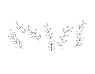 北欧風の草　ベクターイラスト　