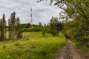 Obraz premium Long path with bushes and fields around in Kaczawskie mountains