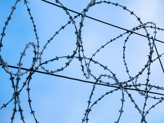 Barbed wire close-up against the blue sky. Protected area.