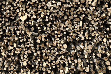 detail of stack of chopped wood