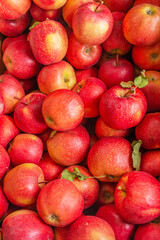 Fototapeta na wymiar Ripe red, sweet apples. Harvest juicy red-yellow apples. Healthy eating