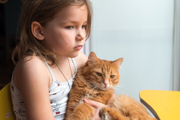 Sad little kid girl with long big scratches on her face and cat hugging close up portrait. Cat scratched child during there play.Animal at home. Ginger pet.